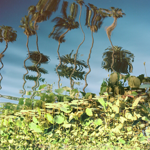 神里绫华❌同人18禁网站
