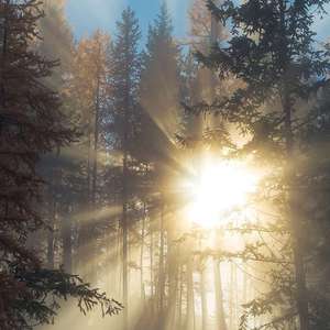 神里绫华❌同人18禁网站
