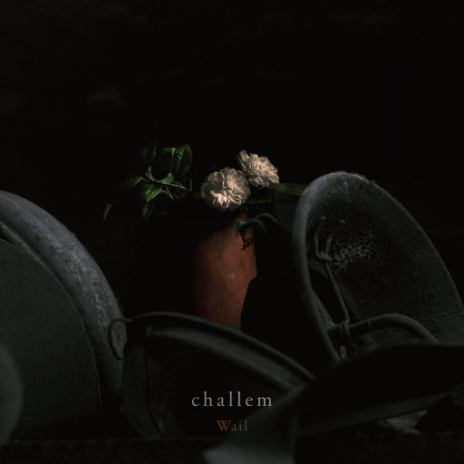 神里绫华❌同人18禁网站
